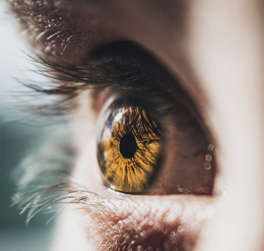 close up photo of person s eye